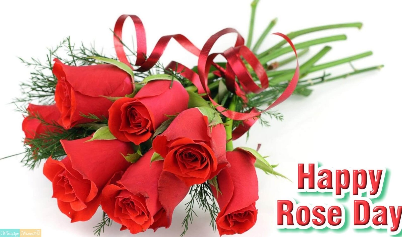 Happy Rose Day images, Beautiful flowers