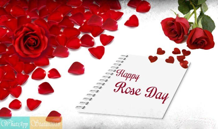 Rose Day 2021 Greeting Pictures And Images