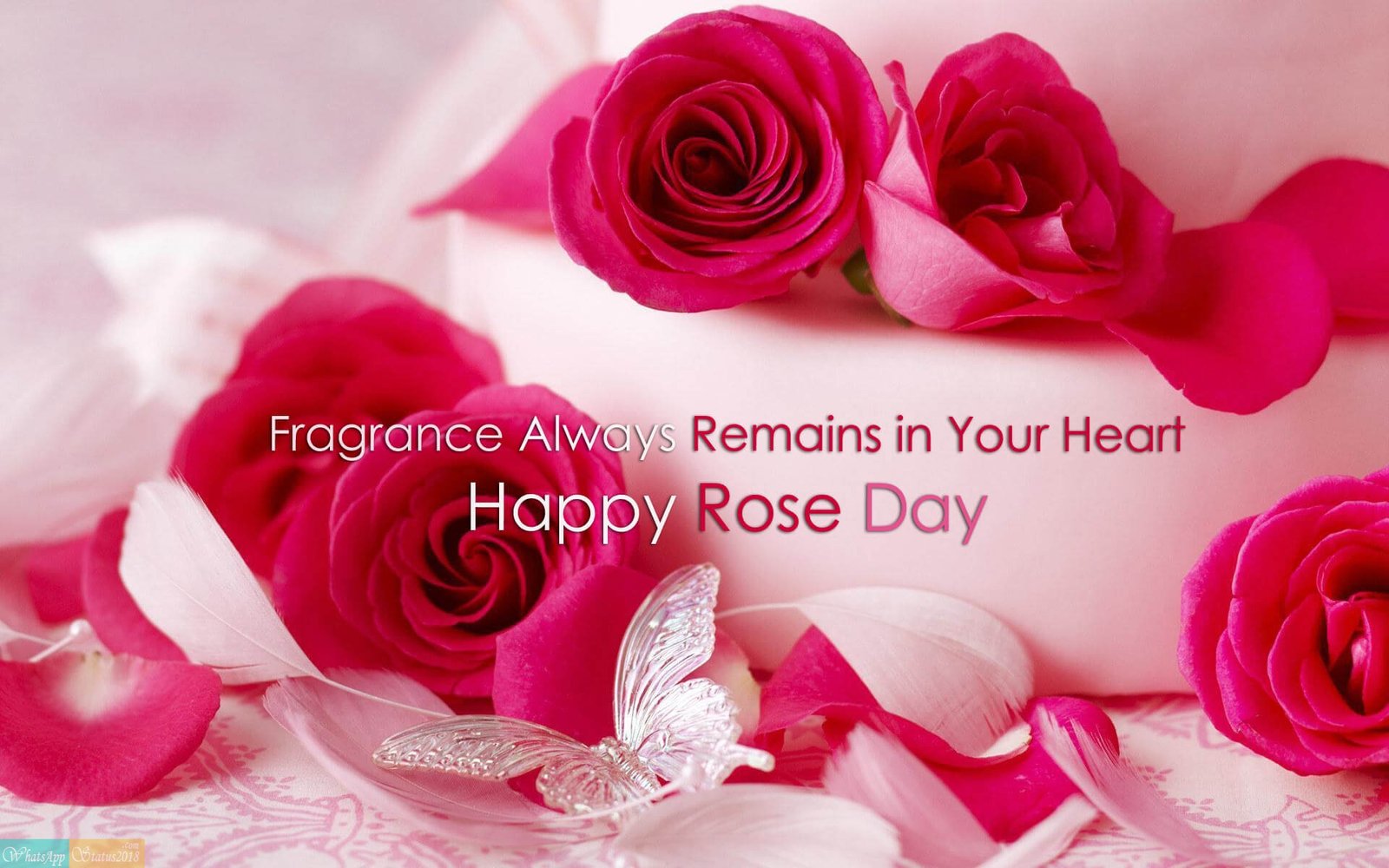 Best Happy Rose Day Images