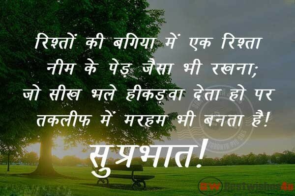 Suprabhat Images in Hindi, Suprabhat Greetings and Wishes Photos | सुप्रभात संदेश | सुप्रभात शुभकामना संदेश