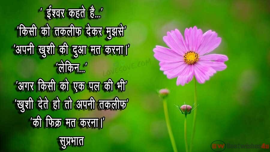 Good Morning Wishes In Hindi | सुप्रभात शुभकामना संदेश