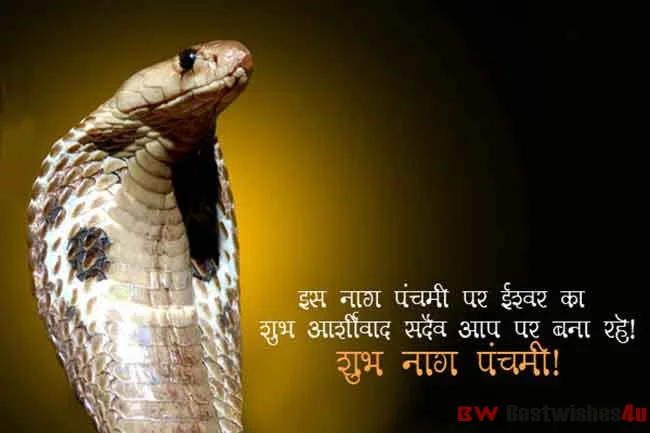 Happy Nag Panchami Images Photos Picture For WhatsApp & Facebook Status
