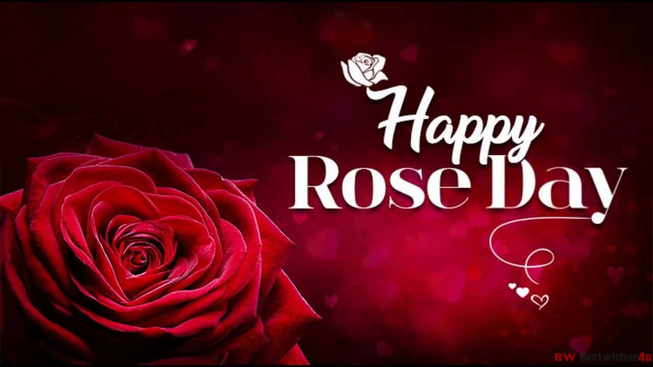 Happy Rose Day images