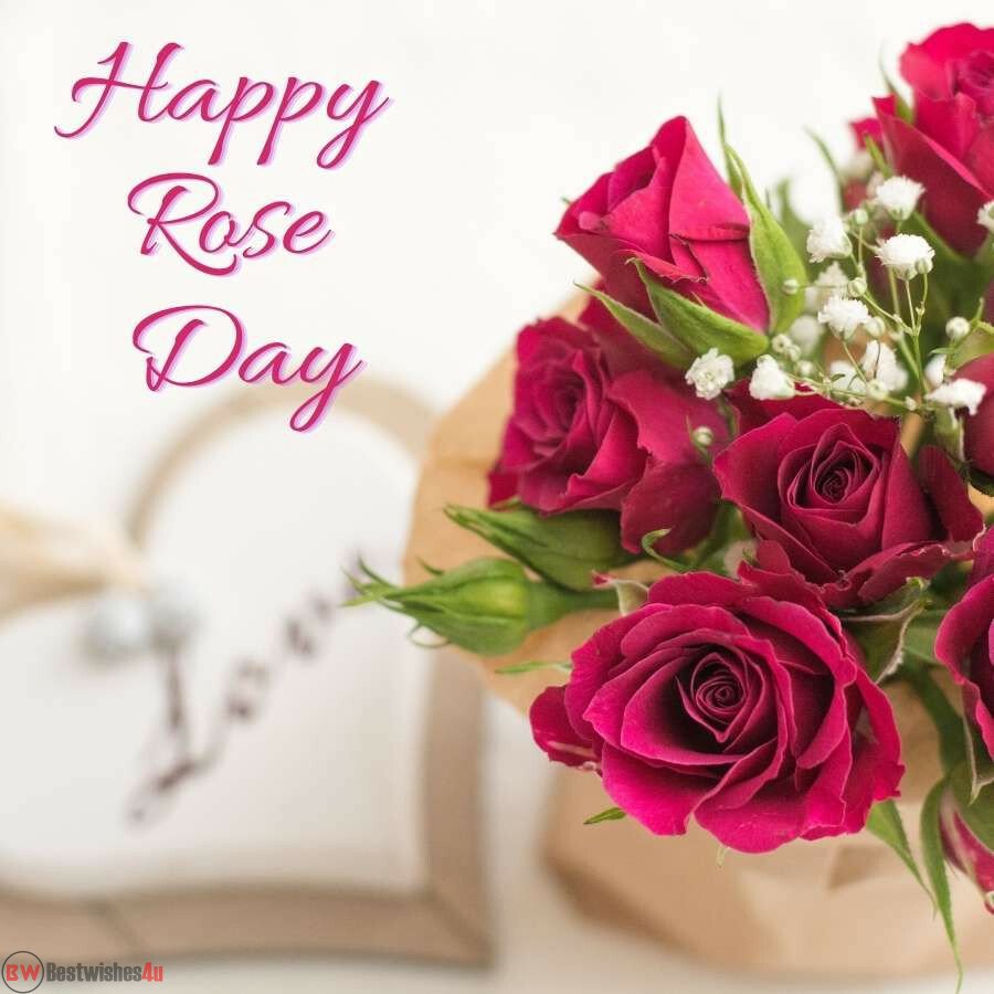 happy rose day my love dark pink rose