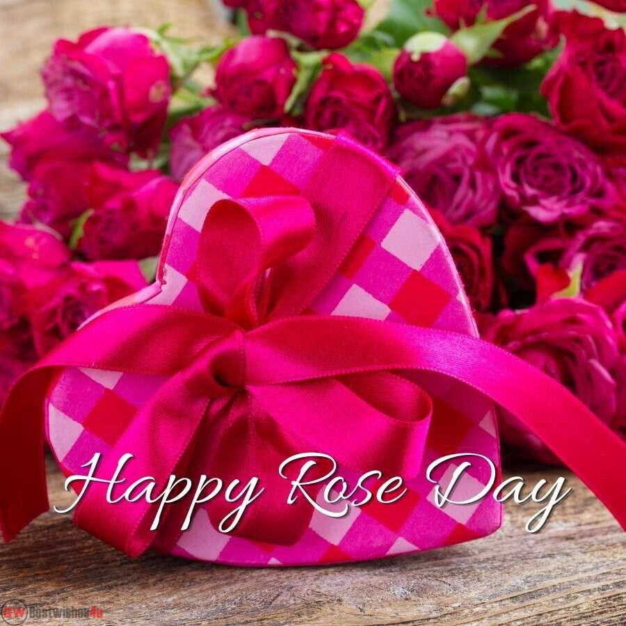happy rose day my love pink rose