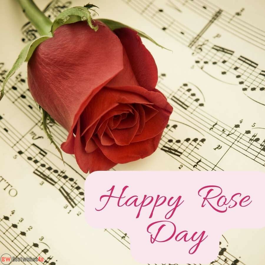 happy rose day my love red rose yellow bg