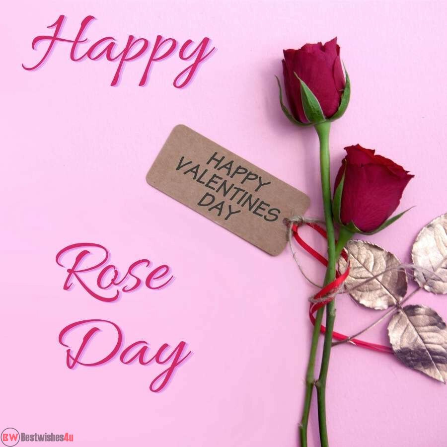 happy rose day my love two dark red rose