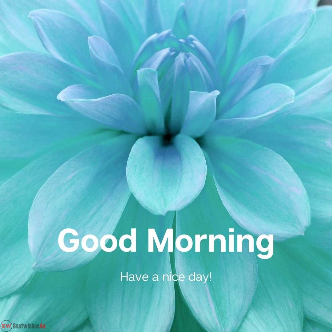 blue flower good morning image