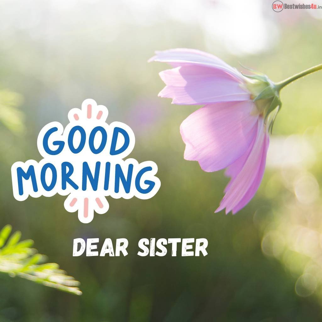 Good Morning Wishes for Sister | Good Morning Sister Shayari in Hindi