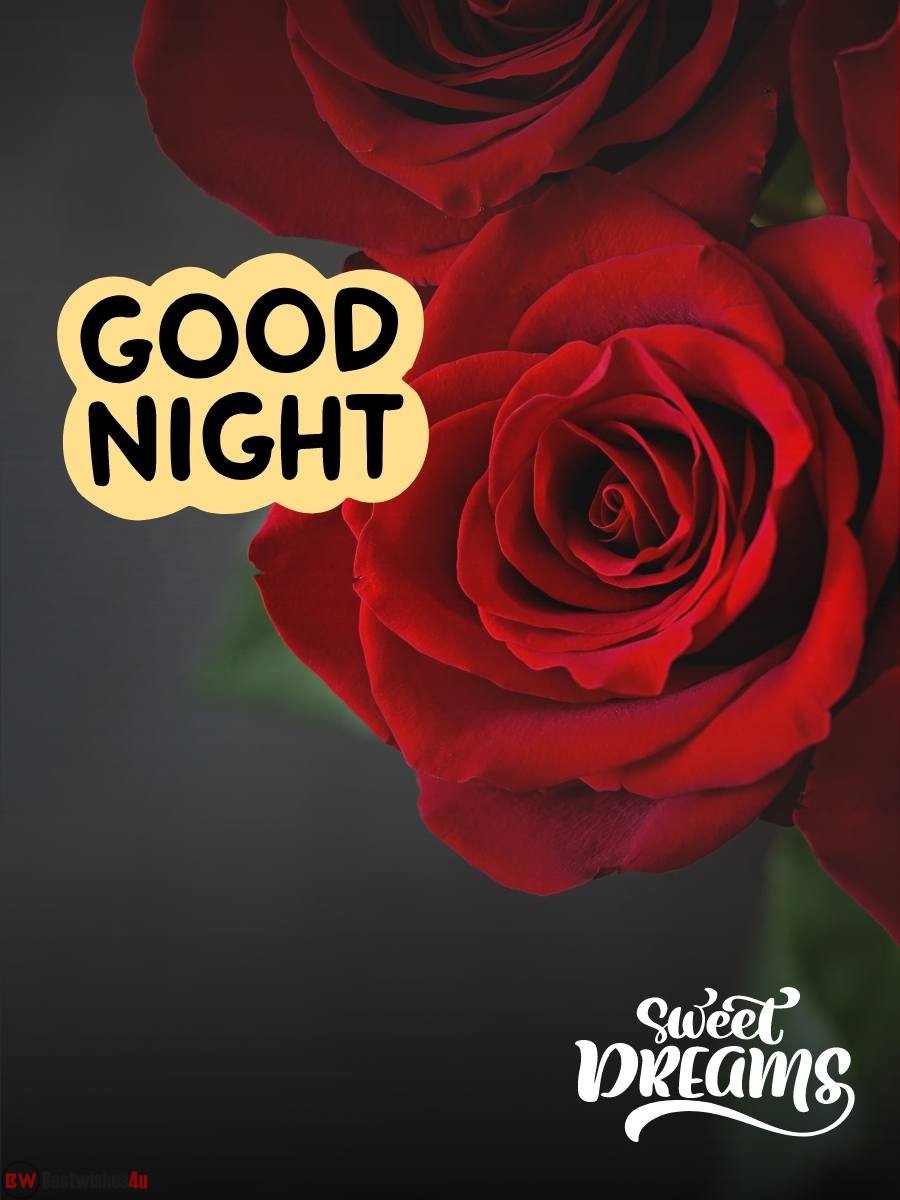Beautiful Good Night Flowers Images