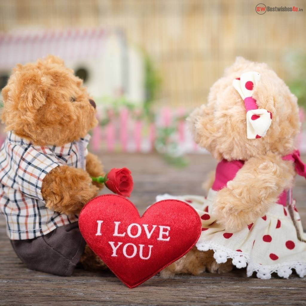 whatsapp dp images i love you teddy