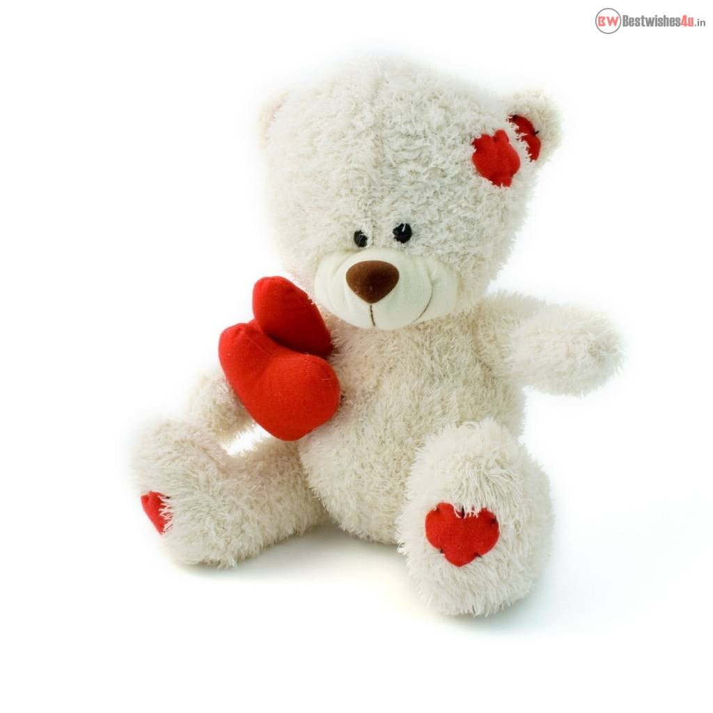 whatsapp dp images white teddy heart